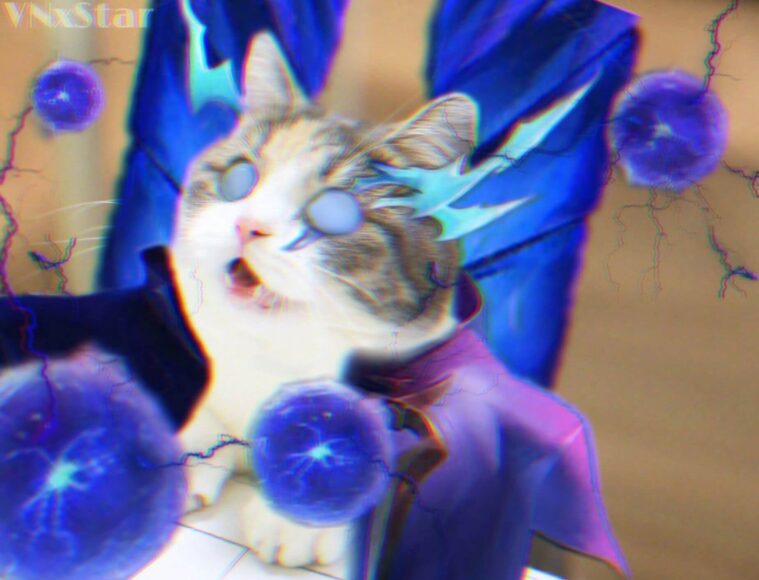 hình ảnh mèo liên quân rực sáng
