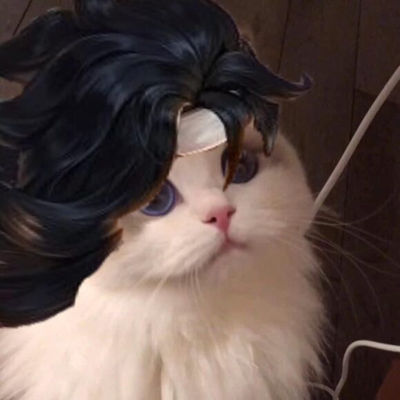 hình ảnh mèo liên quân tóc đen