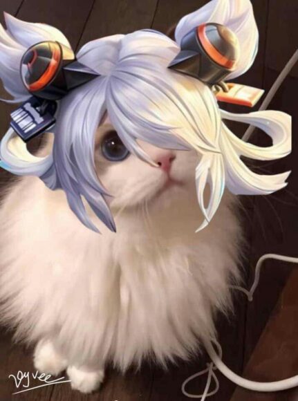 hình mèo liên quân cực đẹp