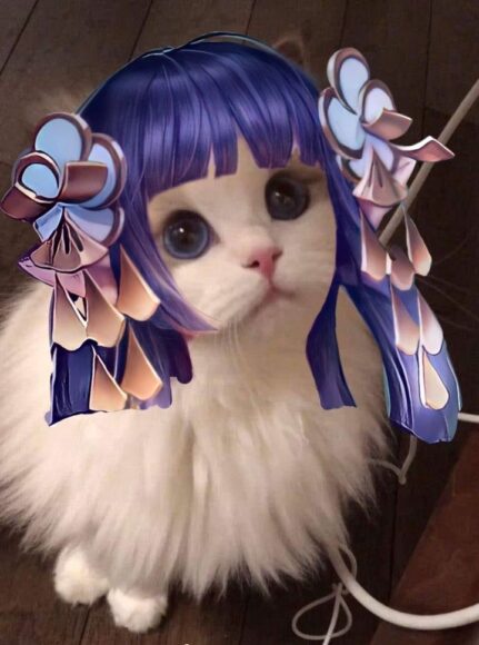 hình mèo liên quân đeo nơ