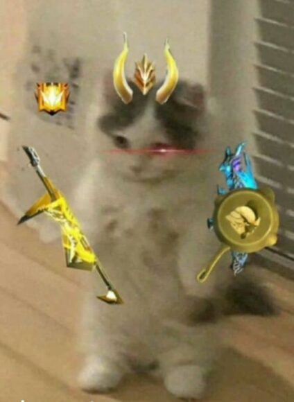 hình mèo liên quân full vũ khí