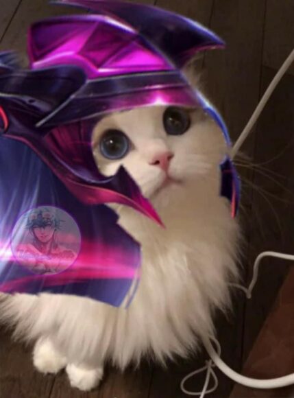 hình mèo liên quân giáp tím