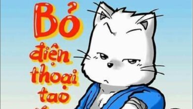 hình nền điện thoại chất