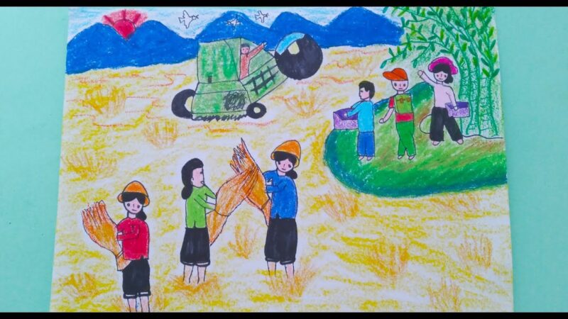 tranh vẽ lao động cắt lúa của lớp 3