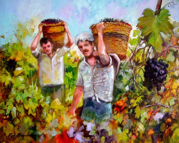 tranh vẽ lao động nông dân thu hoạch nho