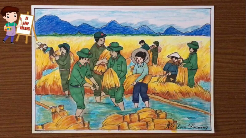 Vẽ tranh đề tài lao động gặt lúa