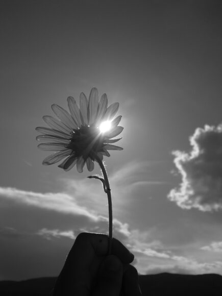 ảnh chia buồn tang lễ bông hoa và bầu trời