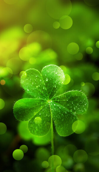 ảnh nền cây cỏ 4 lá may mắn