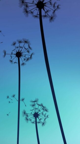 ảnh nền cho màn hình đục lỗ hoa bồ công anh