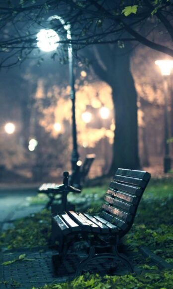 ảnh nền đèn đường ở công viên