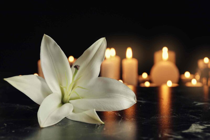 hình ảnh chia buồn tang lễ đóa hoa ly trắng