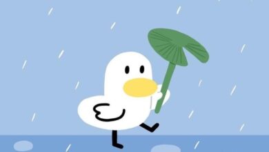 Hình ảnh đơn giản