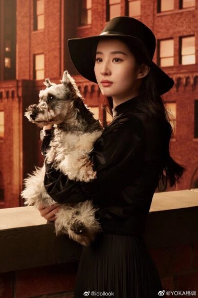 hình ảnh Lưu Diệc Phi ôm chú chó nhìn sang trọng