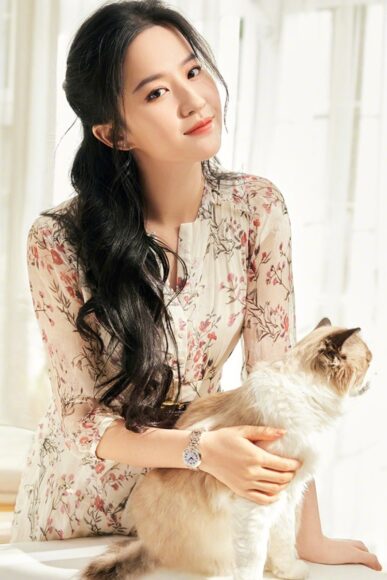 hình ảnh Lưu Diệc Phi ôm chú mèo