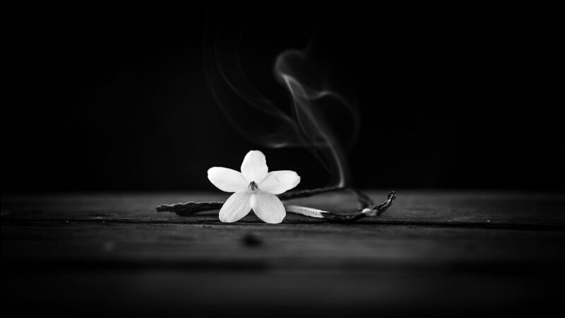 hình chia buồn tang lễ đẹp nhất làm hình nền pc