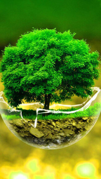 Hình nền cây cối