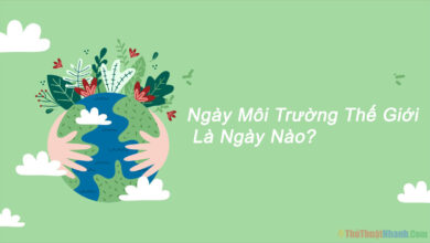 Ngày môi trường thế giới là ngày nào