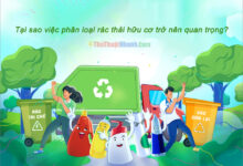 Tại sao việc phân loại rác thải hữu cơ trở nên quan trọng