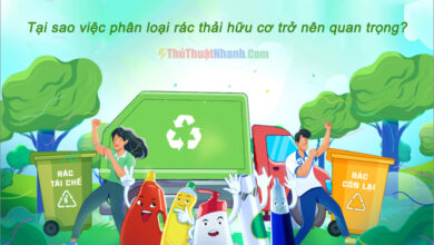 Tại sao việc phân loại rác thải hữu cơ trở nên quan trọng