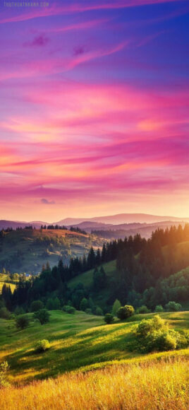 hình nền điện thoại phong cảnh