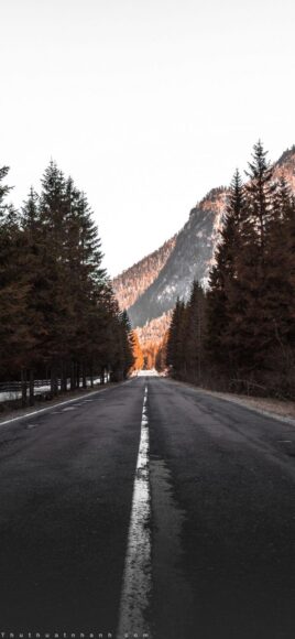 Hình nền iPhone 11 Promax đẹp