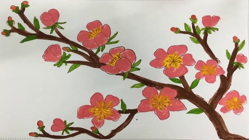 hình vẽ hoa anh đào bằng sáp