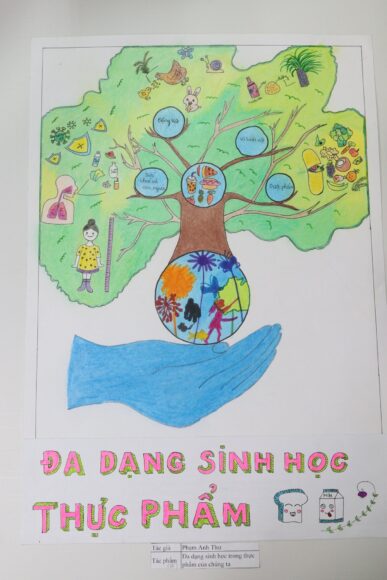 tranh vẽ tiêu dùng xanh đa dạng thực phẩm sinh học