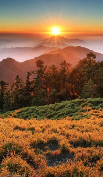 Hình nền điện thoại đẹp nhất hiện nay