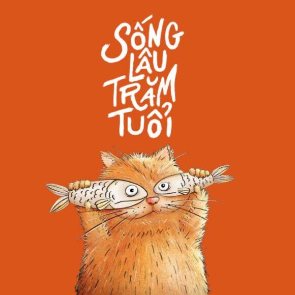 hình ảnh avatar mèo Tết vô tri