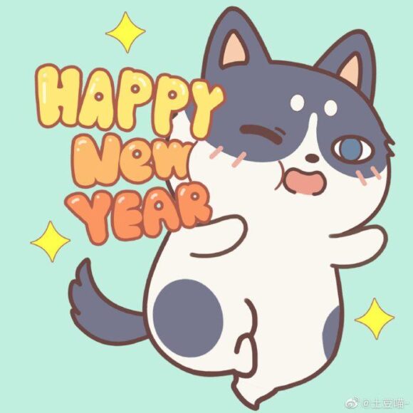 hình avatar mèo tết mèo đốm xám