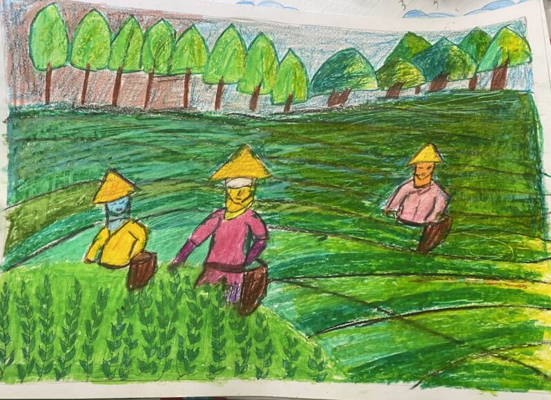vẽ tranh lên rừng xuống biển vẽ cảnh hái chè