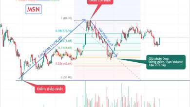 Hướng dẫn kẻ Fibonacci Thoái Lui