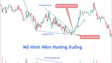 Mô Hình Nêm Hướng Xuống