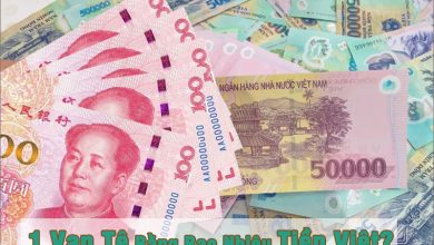 1 Vạn Tệ Bằng Bao Nhiêu Tiền Việt