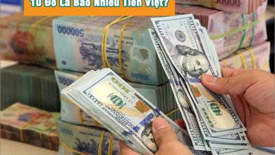 10 Đô Là Bao Nhiêu Tiền Việt