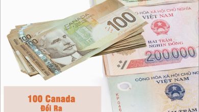 100 Canada Đổi Ra Tiền Việt Hôm Nay