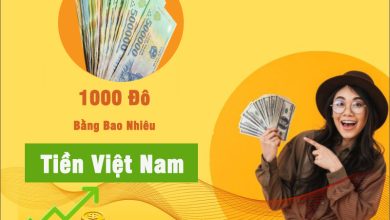 1000 Đô Bằng Bao Nhiêu Tiền Việt