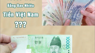 10000 Won Bằng Bao Nhiêu Tiền Việt