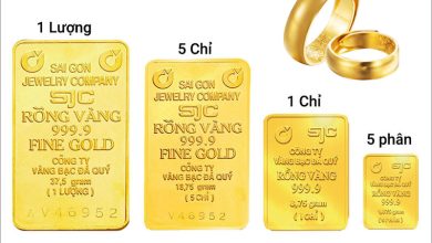 5 Phân Vàng Bao Nhiêu Tiền