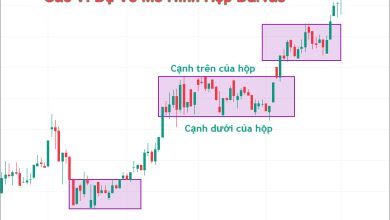 Các Ví Dụ Về Mô Hình Hộp Darvas
