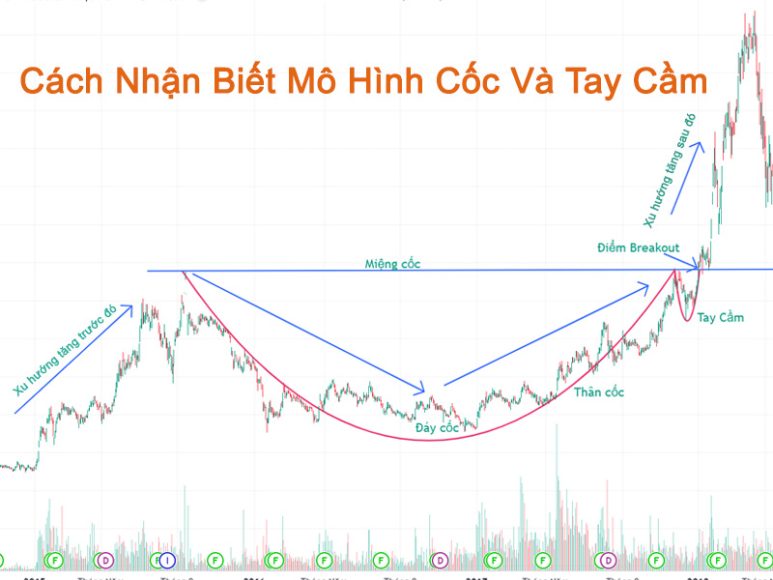 Cách Nhận Biết Mô Hình Cốc Và Tay Cầm