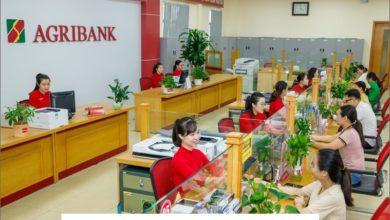 Lãi Suất Vay Ngân Hàng Agribank