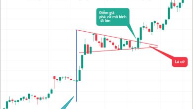 Mô Hình Cờ Đuôi Nheo