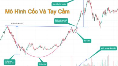 Mô Hình Cốc Và Tay Cầm