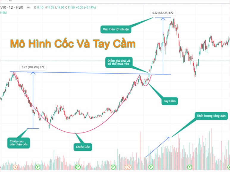 Mô Hình Cốc Và Tay Cầm