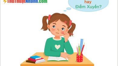 Điểm Xuyết Hay Điểm Xuyến