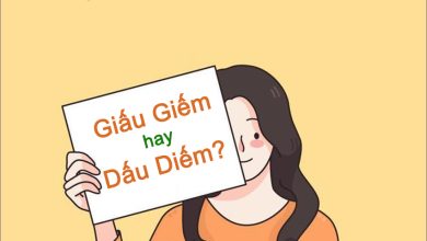 Giấu Giếm Hay Dấu Diếm