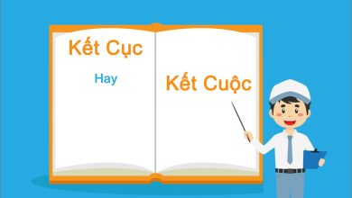 Kết Cục Hay Kết Cuộc